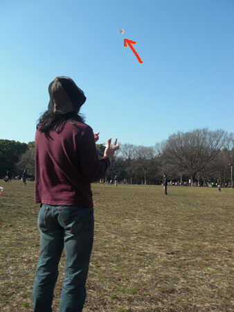 kite03.jpg
